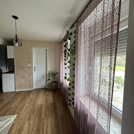 Dvorska Oaza 公寓 斯雷姆斯基卡尔洛夫奇