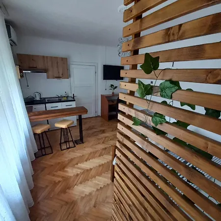 Dvorska Oaza Apartment Sremski Karlovci