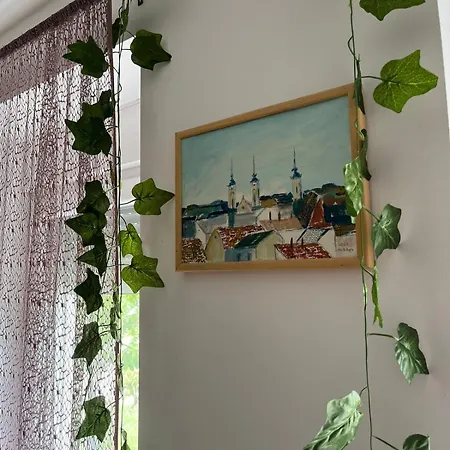Dvorska Oaza * Sremski Karlovci