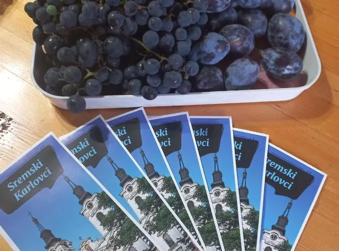 Apartment Dvorska Oaza