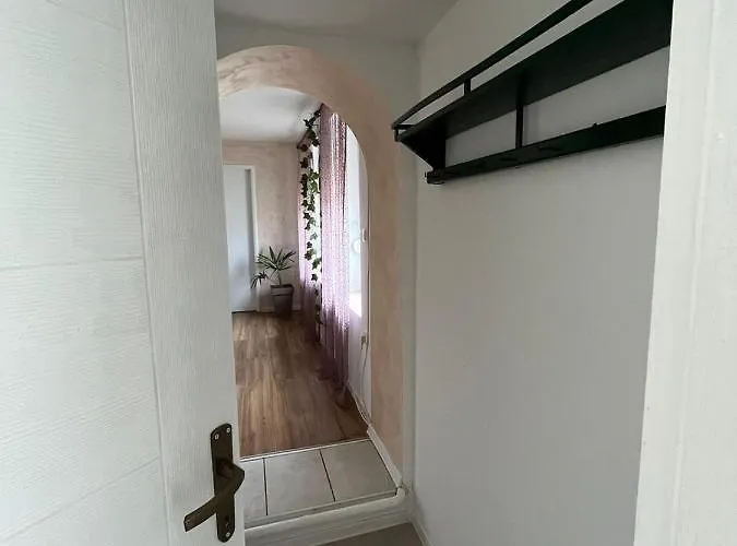 Dvorska Oaza * Sremski Karlovci