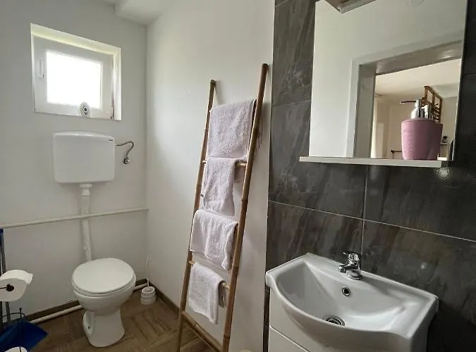 Dvorska Oaza * Sremski Karlovci