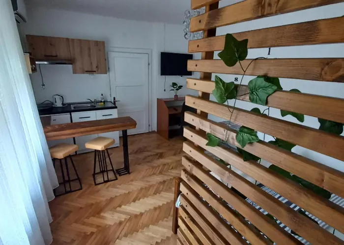 Dvorska Oaza Apartment Sremski Karlovci